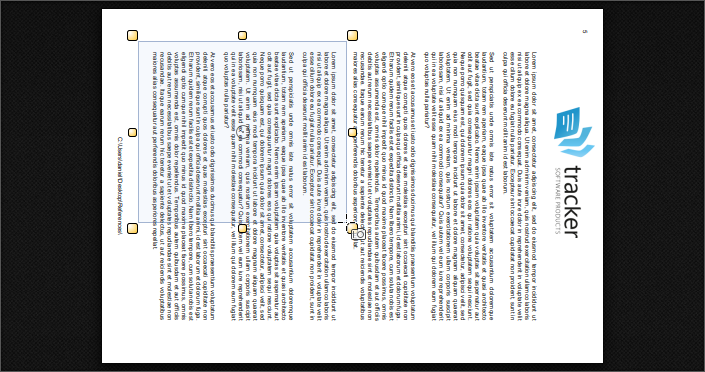PDF-XChange Co Ltd :: Knowledge Base :: How do I copy and paste a photo ...