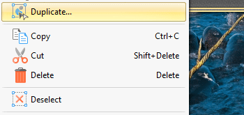 Duplicate Selected Content