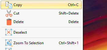 Copy, Cut, Delete or Zoom to Selected Content
