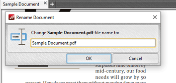 Rename Documents