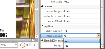 Support for Inline Captions for Line/Dimension Annotations