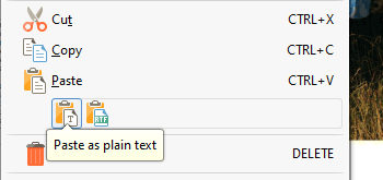 Paste from Clipboard Options