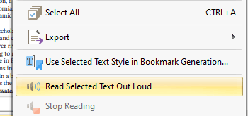 UI Automation Support