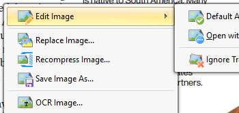 Edit Document Content in Third-Party Applications