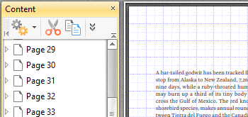 Use the Content Pane to View/Edit Document Content