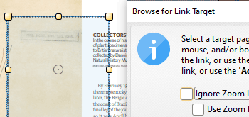 Link Activation Options
